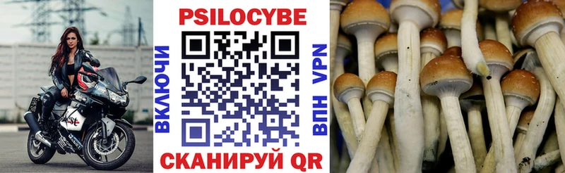 сайты даркнета формула  Сычёвка  Псилоцибиновые грибы мицелий  купить наркотики сайты 
